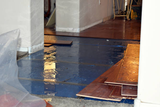 Professional Water Damage Restoration technician working in Holden, MO